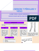 Practica Sesion 7 Férulas y Yeso