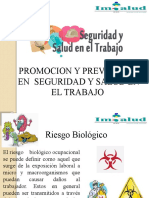 Diapositivas de Promocion y Prevencion de SST
