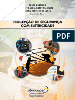 Percepcao de Seguranca Com Eletricidade V5.0 1