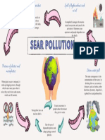 Sear Pollution Fatima - Brisney