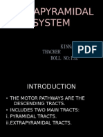 Extrapyramidal System: Kinnari Thacker: Roll No 132