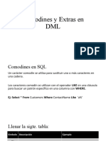 Comodines y Extras en DML