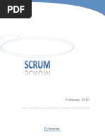 Scrum Guide Feb 2010