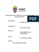 Temperatura y Presión Ensayo