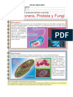 FICHA Resumen de Los Tres Reinos - Monera-Protista-y-Fungi. 24 de Junio 2022
