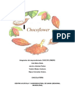 Integrantes Del Emprendimiento CHOCOFLOWERS