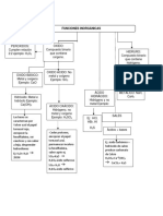 Mapas Conceptuales Nomenclatura