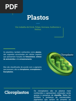 Diagrama De Plastidios Em Celulas Vegetais