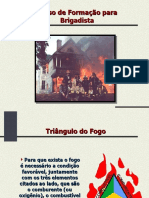 protec-incendio-brigada-incendio (2)