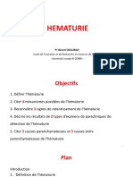 4 Hématurie_220712_133130