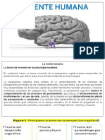 La Teoría de la Mente Humana