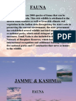 Important Fauna of Kashmir