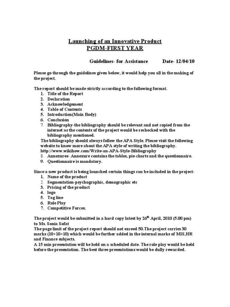 Project Guidelines File | PDF