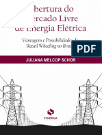 Resumo Abertura Do Mercado Livre de Energia Eletrica Juliana Melcop Schor