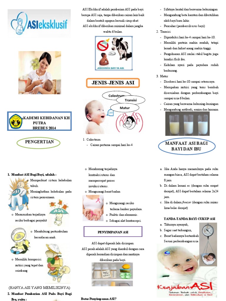 Leaflet ASI Eksklusif | PDF