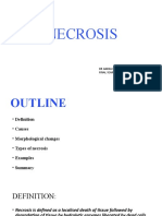 Necrosis: DR Abena Hidangmayum Final Year Postgraduate