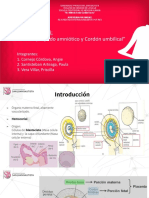 Placenta, Liquido Amniotico y Cordon Umbilical