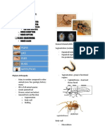 Zoo 113 Quiz Module 2