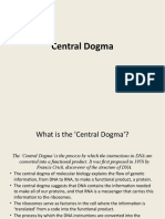 Central Dogma