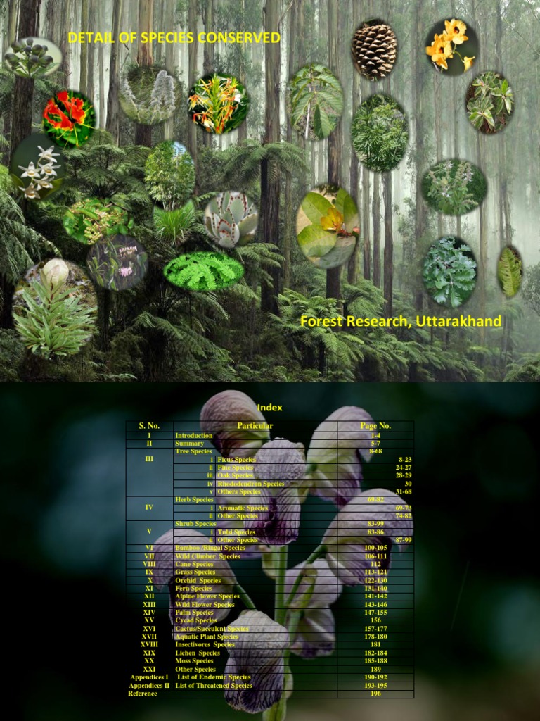 Tree | PDF | Biodiversity | Conservation Biology