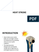 Heat Stroke