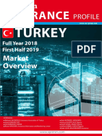 Turkish Report 2019