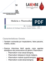 Malária e Plasmodium: Características e Diagnóstico