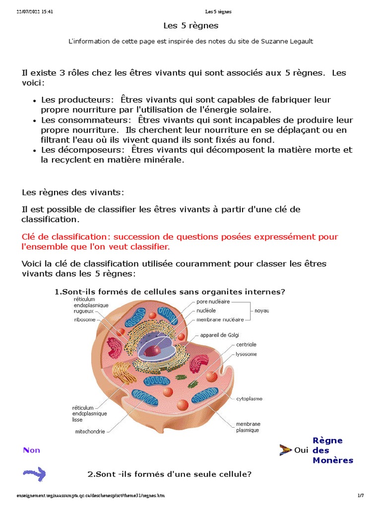 Les 5 règnes des êtres vivants | PDF | Champignons | la reproduction