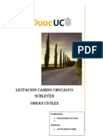 Licitación Camino Chucauco Schleyer Obras Cibiles 005V