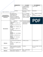 Cuadro Comparativo de Los Musculos