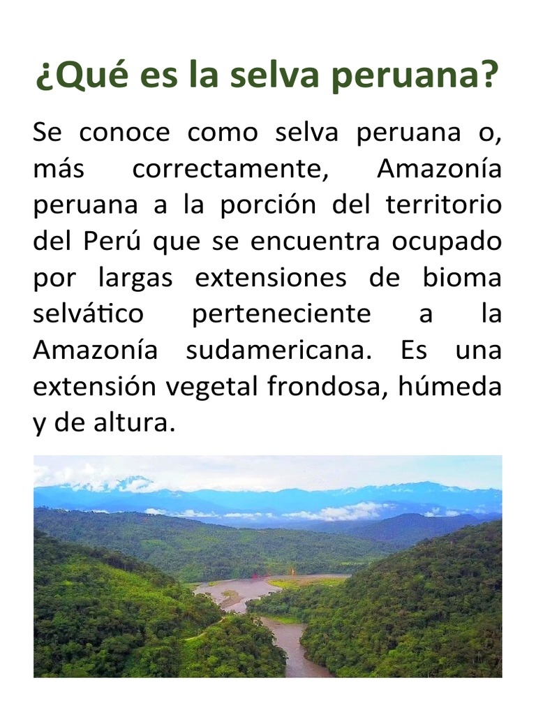 Descubre la Selva Peruana | PDF