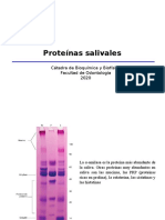 3 - Proteínas Salivales - Con Apuntes - 2020