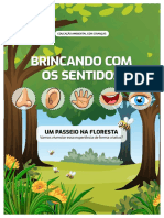 E-Book Brincando Com Os Sentidos