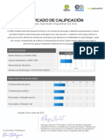 Certificado de Conclusão Básico