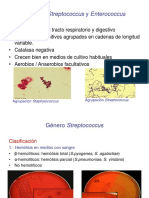 10A Estreptococcus