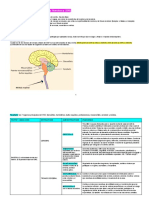 Resumen Neurofisiología FERRERES - Sistema Nervioso