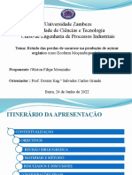 Estudo das perdas de sacarose na produção de açúcar orgânico na Ecofarm Moçambique