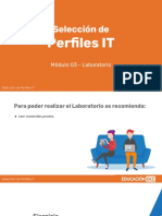 Selección De: Perfiles IT