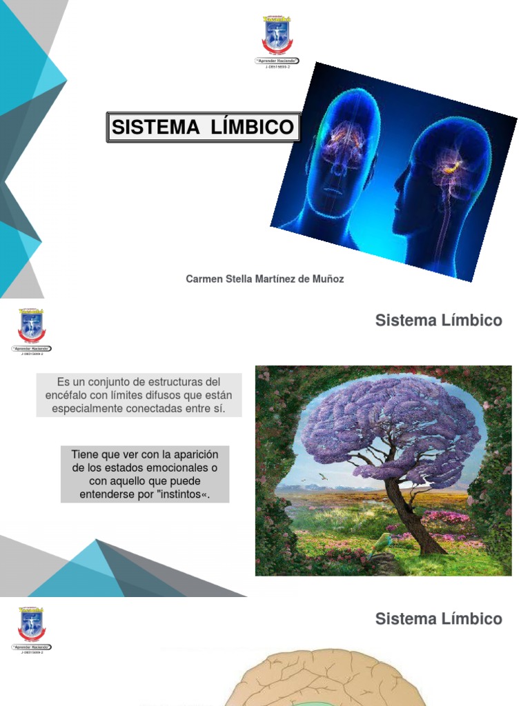 Sistema límbico estructuras clave del cerebro para las emociones PDF