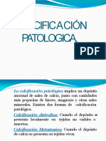 Calcificaciones Patologicas