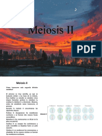 Meiosis II