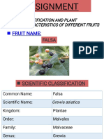Topic:: Identification and Plant Characteristics of Different Fruits