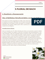 Terapias florales de Bach para el desaliento y la desesperación