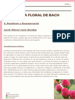 Teórico 7° Clase Flores de Bach