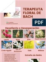 _ Presentación  Clase N°  8 Flores de Bach