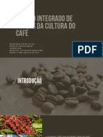 Manejo integrado de pragas da cultura do café