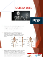 Sistema Oseo Aide Gil