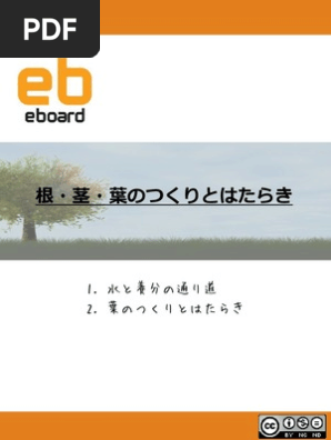 生物 根 茎 葉のつくりとはたらき Pdf