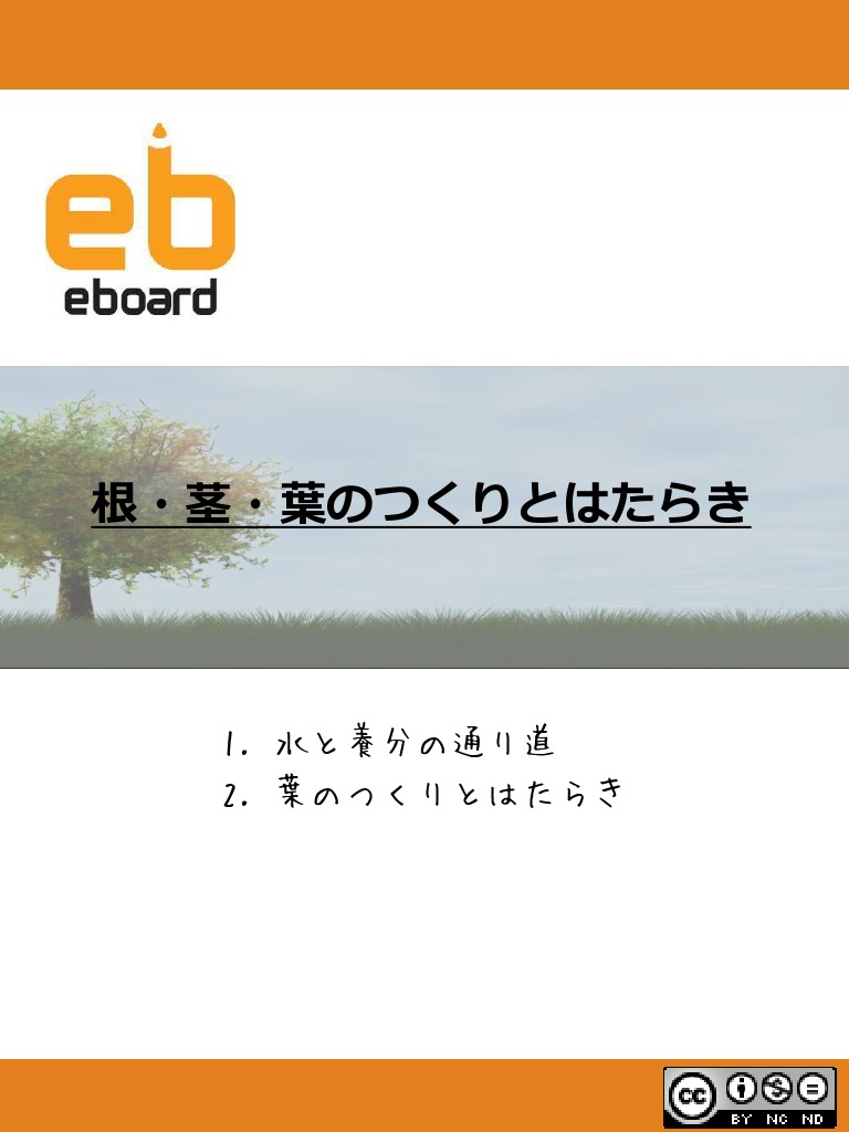 生物 根 茎 葉のつくりとはたらき Pdf