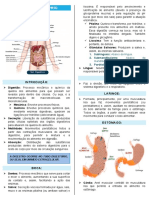 Fisiologia Humana